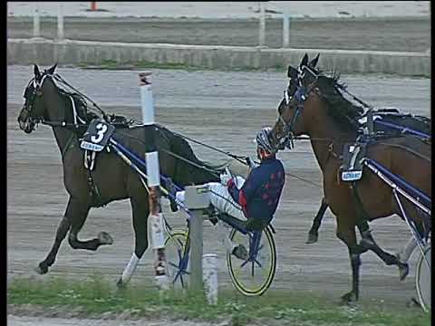 Trotto 25/02/2018 - 4ª corsa