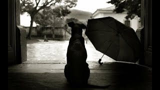 Graveworm   When The Sky Turns Black