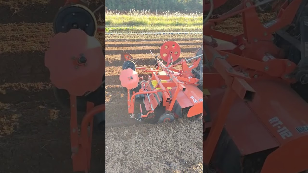 FJD AT2 自動操舵で小菊の仮畝立て