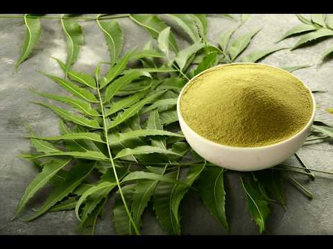 Neem Leaf Powder