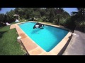 Go Pro Hero HD Killer Whale Swimming Pool