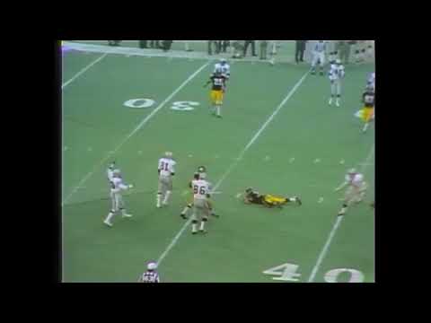 Immaculate reception original radio call