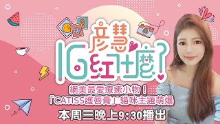 網美最愛療癒小物！「CATISS護唇膏」