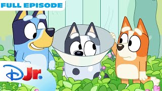 Bluey - Muffin Has to Wear a Cone of Shame! gameplay video by OTNSpads, 7:20 duration