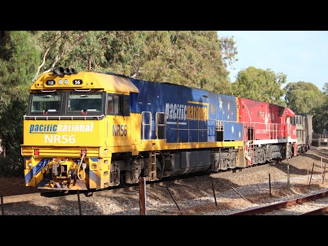 NR56, NR19 leads 4PM4 through Mitcham 