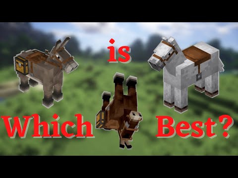 How to get the most from Donkeys and Mules in Minecraft