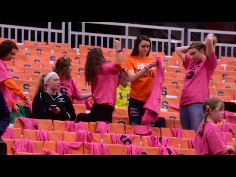 download lagu mp3 mp4 Syracuse Pink And Green, download lagu Syracuse Pink And Green gratis, unduh video klip Syracuse Pink And Green