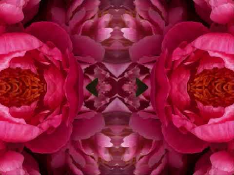 download lagu mp3 mp4 Bob Dylan Vincent Van Gogh, download lagu Bob Dylan Vincent Van Gogh gratis, unduh video klip Bob Dylan Vincent Van Gogh