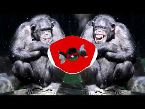 5MIINUST x ÜLLAR JÖRBERG - erootikapood x suur ahv [Bass Boosted]