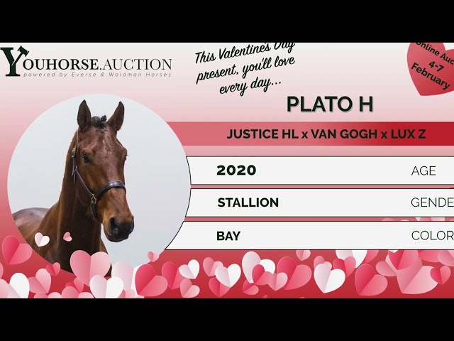 Plato H