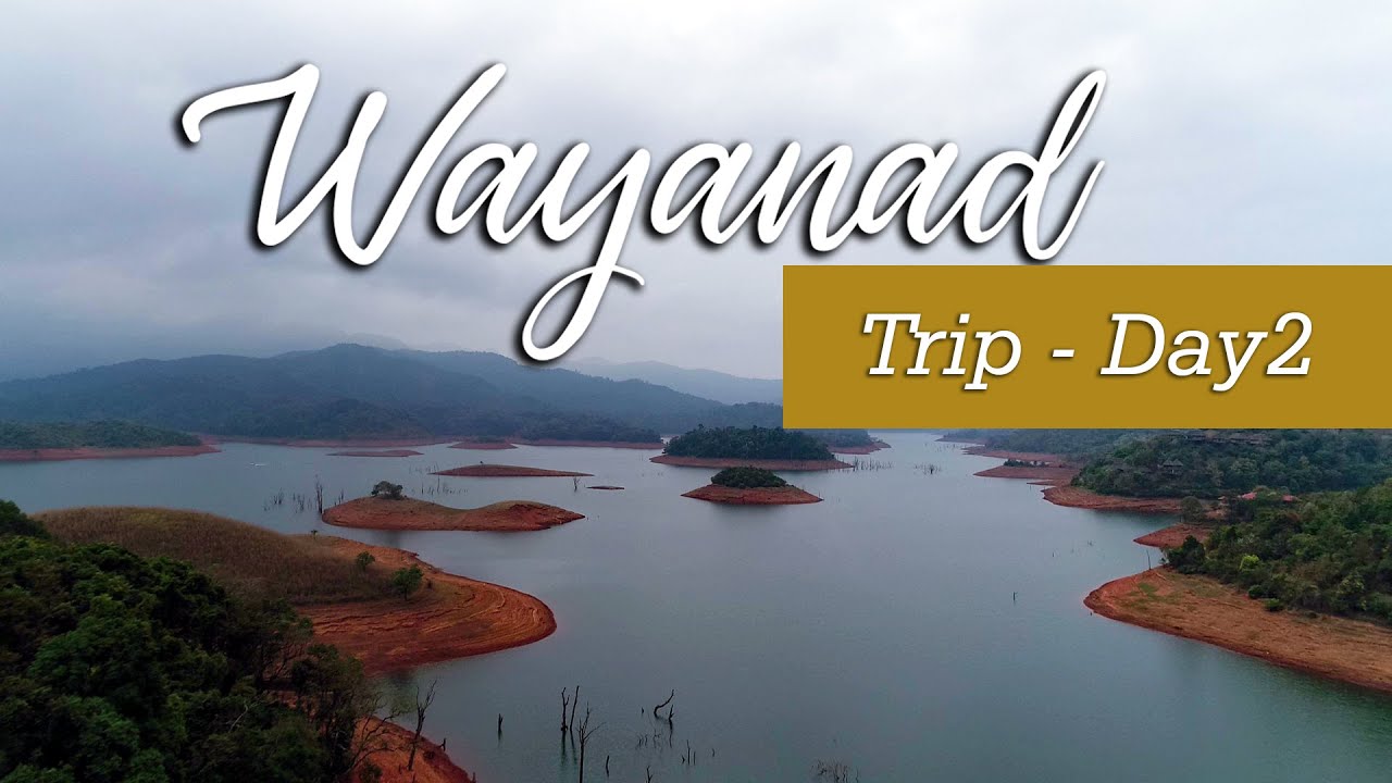 Wayanad Trip | Cinematic Experience - Day 2 video thumbnail