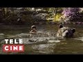 Mowgli The Jungle Book