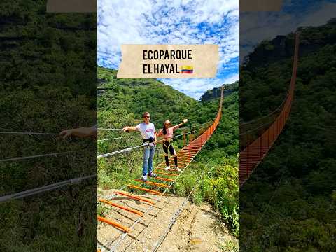 Ecoparque el Hayal , escalera mas larga del Mundo #colombia #santasofia