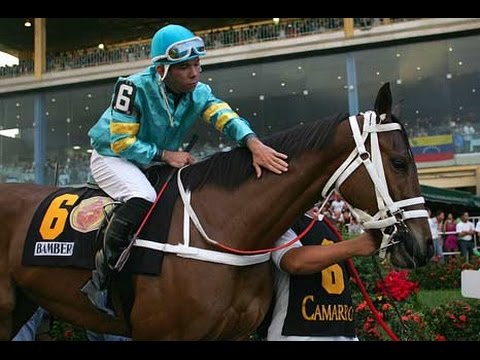 BAMBERA - Clásico Del Caribe 2009