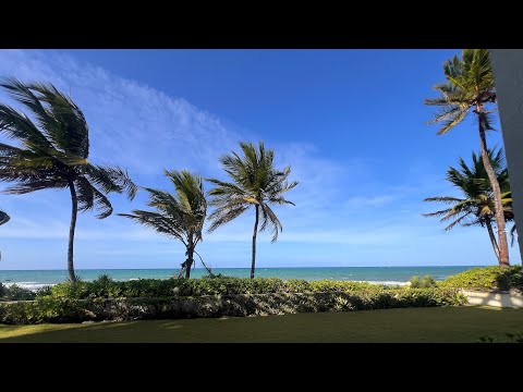 Playa Ventosa Oceanfront Condo