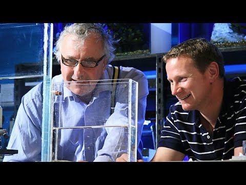 The Secret Life of Rockpools (2012)