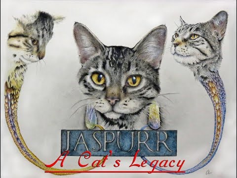 Jaspurr Part 3: The relationship of Domestic Violence and Pet Abuse
