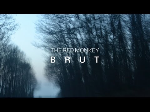 MONK - Brut