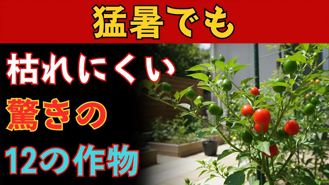 猛暑でも育つ 12の作物。なぜ現代農業はそれを広めなかったのか？