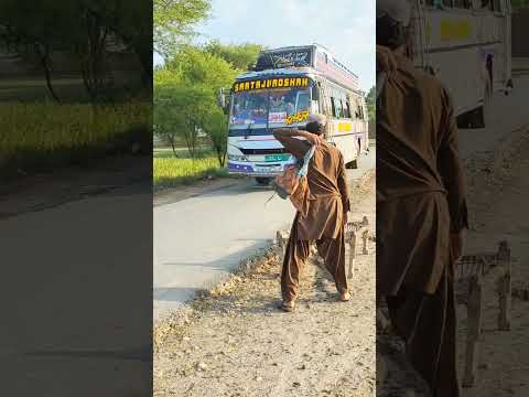 "I Fooled the Bus Driver! 😂🤣 He Thought I Was a Passenger, But I Ran Away With the Cot! 🚌"