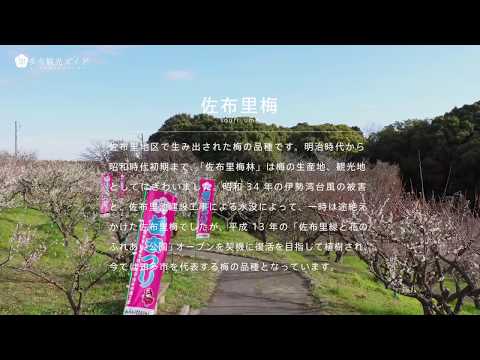 知多市梅まつりPR動画