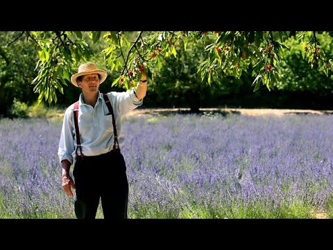 Monty Don's French Gardens 3 - The Artistic Garden (2012)