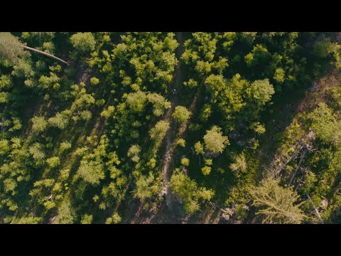 Commercial for Talma Bikepark