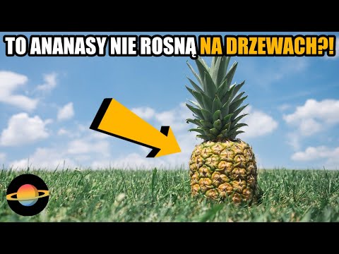 , title : '10 produktów, które rosną inaczej niż sobie to wyobrażałeś'