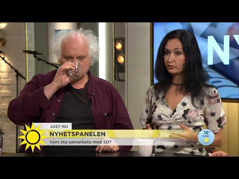 Nyhetspanelen: Vem ska samarbeta med SD? - Nyhetsmorgon (TV4)