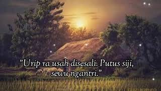 Download lagu Story Wa Sholawat Keren mp3 Download lagu Story Wa Sholawat Keren mp3