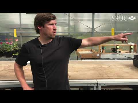 Virtual tour of the horticulture facilities at SRUC Edinburgh campus