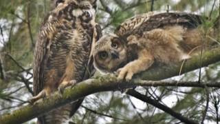 Turn Around and They're Grown