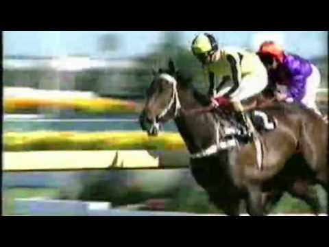 1991 Rosehill Guineas - Surfers Paradise