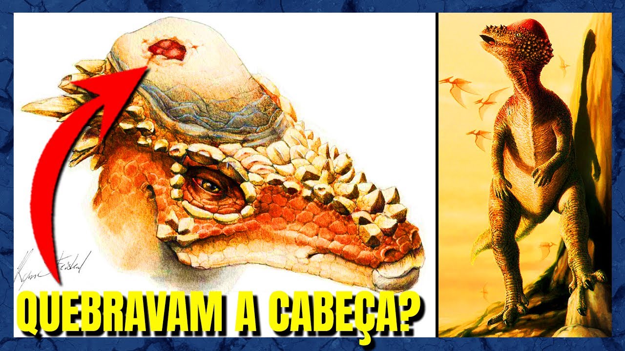 A BIOLOGIA INSANA do PAQUICEFALOSSAURO! (Pachycephalosaurus)