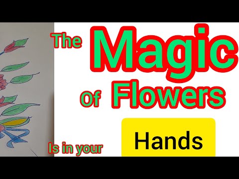 “A Rainbow of Beauty: Secrets of Enchanting Blossoms!”