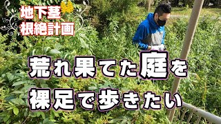 【庭の手入れ】実家の庭を大改造。地下茎を根絶したい！【ガーデニング】【初心者注意】【雑草】