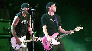 blink-182 - The Party Song Live @ Blockbuster Pavilion, CA, USA 9/14/2002