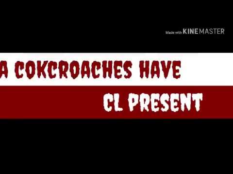 Parodi Nella Kharisma Ditinggal Rabi Ngakakk....