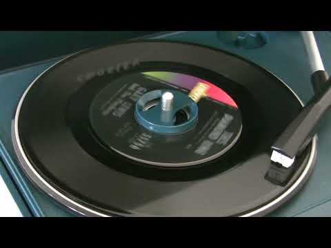 Gary Lewis & The Playboys-This Diamond Ring