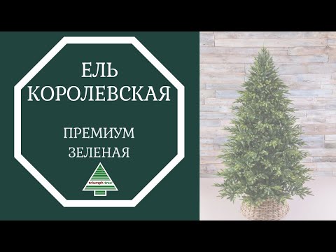 Триумф ель Королевская премиум 185 см зеленая - Видео 1