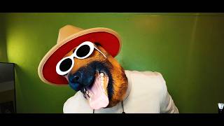 Kaza-Waz