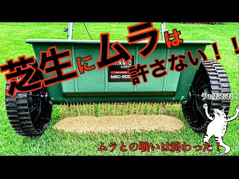 秋の芝生の肥料：いつ、どのように芝生に肥料を与えるのですか？完全ガイド  庭園