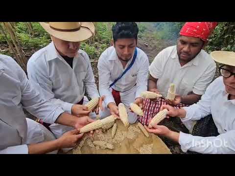 ALDEA PANIMAQUIP, SAN LUCAS TOLIMÁN, SOLOLÁ. PADEP/D