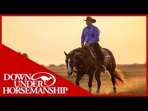 Clinton Anderson: How to Find the Right Discipline for a Horse - Downunder Horsemanship