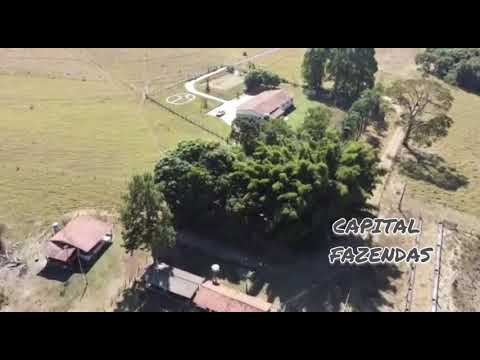 Cocalzinho de Goiás 📍, 90 km de Brasília-DF, 25 Alqueires! 🔥📲