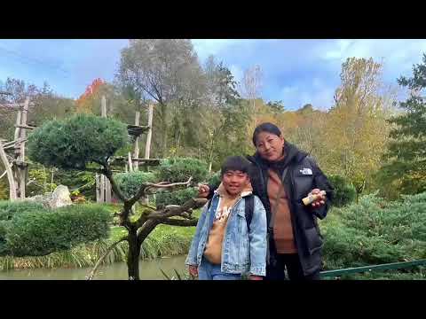 Zoo parc de beauval com ### menino tibetano sogo ###
