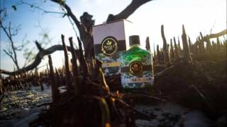 Download lagu Kelebihan-kelebihan Bidara Lab mp3