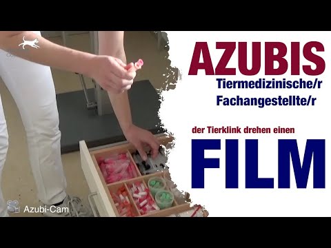 Auszubildende drehen ein Video über die Tierklinik Oberhaching.