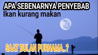 Download lagu KENAPA ikan kurang makan saat bulan purnama Saat bulan terang mp3 Download lagu KENAPA ikan kurang makan saat bulan purnama Saat bulan terang mp3