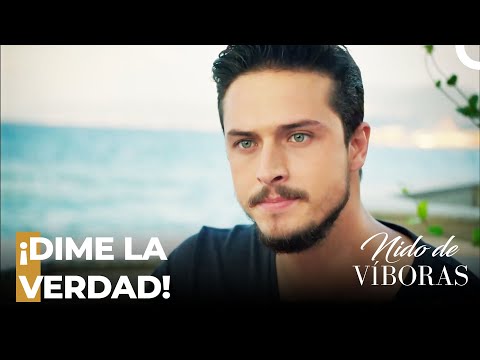 ¡Ejder Se Enfrenta A Sebnem! - Nido De Víboras